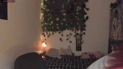 maria online show from December 2025 07:51:02 PM