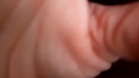 Maryland Man online show from December 2024 08:11:01 AM