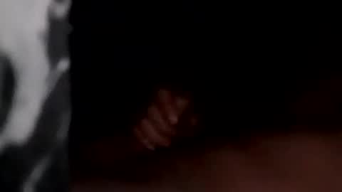 Maryland Man online show from December 2024 05:25:02 AM