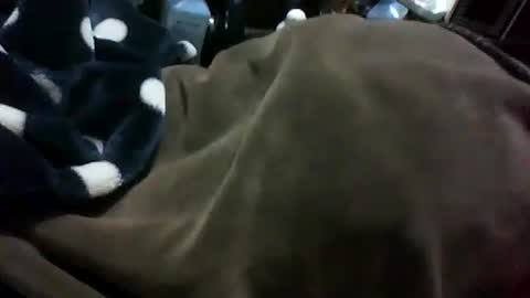 Snapshot of masan1986 chatting on December 2025 08:52:01 AM masan1986 online show from December 2025 08:52:01 AM