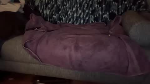 Masculine Hole online show from November 2025 07:29:01 AM