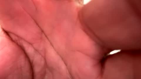 maskeddread online show from December 2024 01:47:01 PM