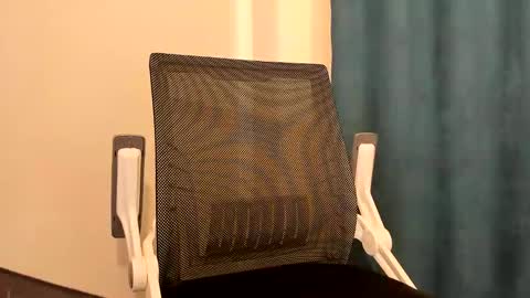 Snapshot of mastermiko chatting on December 2024 11:56:01 PM Silly Rabbit online show from December 2024 11:56:01 PM