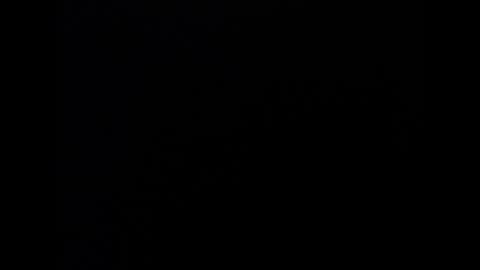 Marl online show from January 2026 04:49:02 AM