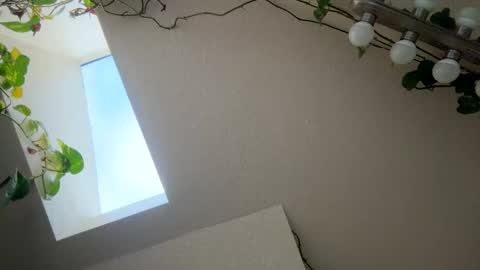 Snapshot of masturbatingmariamiller chatting on November 2025 04:53:01 PM masturbatingmariamiller online show from November 2025 04:53:01 PM