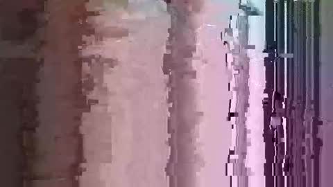 Snapshot of maththebear96 chatting on April 2026 03:01:02 AM maththebear96 online show from April 2026 03:01:02 AM