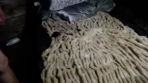 matrixvibes online show from November 2025 04:29:02 AM