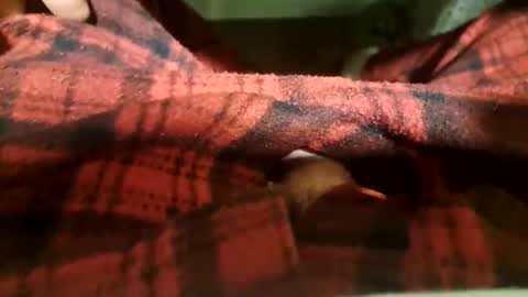 mattca80 online show from April 2026 05:32:01 AM