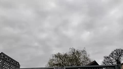 Mattythelog online show from March 2026 09:35:01 AM