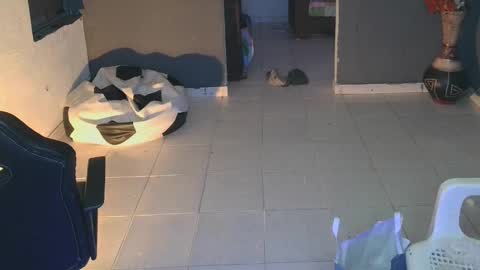 mattias     online show from February 2025 02:12:02 AM