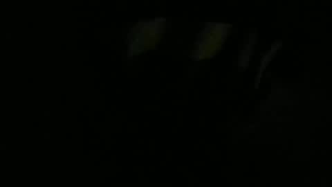 Lira online show from January 2026 11:04:02 AM