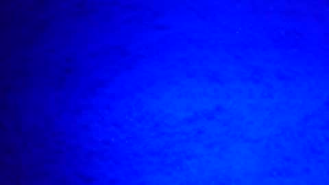 Ignacio online show from December 2024 08:22:02 AM