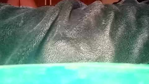 Ignacio online show from January 2025 01:37:02 PM