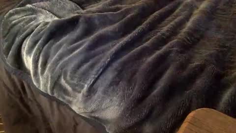 Ignacio online show from October 2025 03:59:01 AM