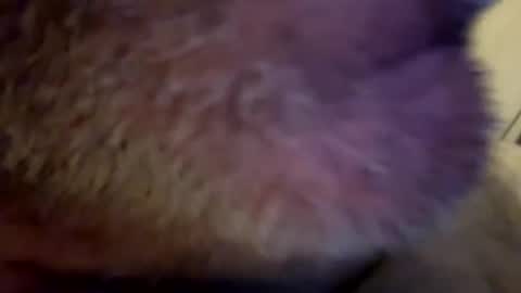 Snapshot of maverick7000 chatting on February 2025 08:17:01 AM maverick7000 online show from February 2025 08:17:01 AM