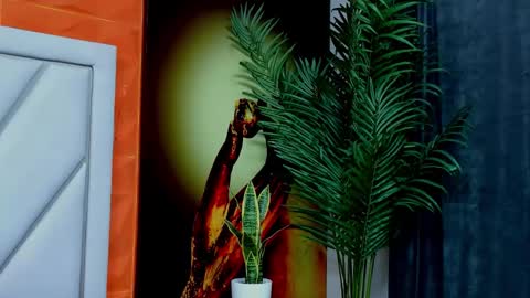 Alex online show from February 2026 11:29:01 AM