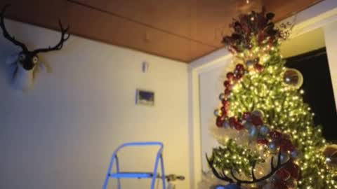 Snapshot of maximohoot chatting on December 2024 11:57:01 PM Sebastian online show from December 2024 11:57:01 PM