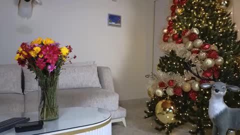 Snapshot of maximohoot chatting on December 2024 01:14:01 AM Sebastian online show from December 2024 01:14:01 AM