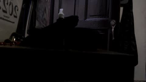 Snapshot of maximotorricelli chatting on January 2025 09:47:01 PM maximotorricelli online show from January 2025 09:47:01 PM