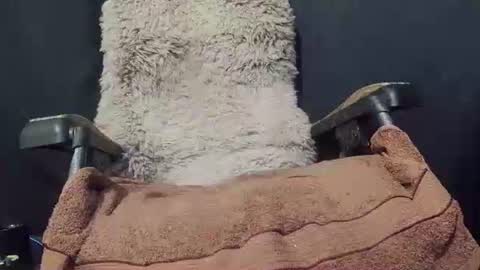 Snapshot of maximus_oreally chatting on January 2025 09:34:01 PM Max online show from January 2025 09:34:01 PM