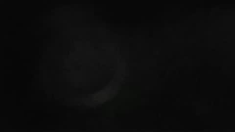 Snapshot of maximus_oreally chatting on February 2025 11:00:02 AM Max online show from February 2025 11:00:02 AM