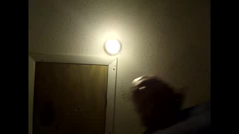 meaderd740870 online show from February 2026 03:25:01 AM