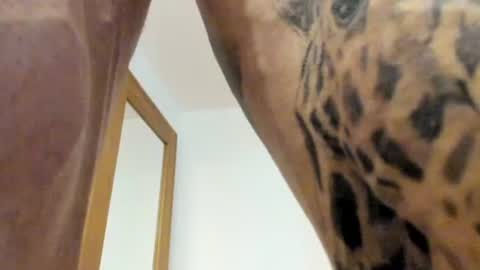 Alpha Male online show from August 2026 02:09:01 PM