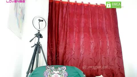 Snapshot of megan_cat chatting on November 2025 01:44:02 PM megan_cat online show from November 2025 01:44:02 PM