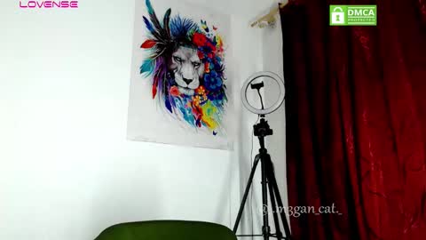 Snapshot of megan_cat chatting on November 2025 11:21:02 AM megan_cat online show from November 2025 11:21:02 AM