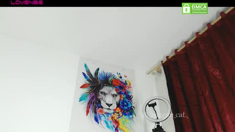 Snapshot of megan_cat chatting on November 2025 10:52:02 PM megan_cat online show from November 2025 10:52:02 PM