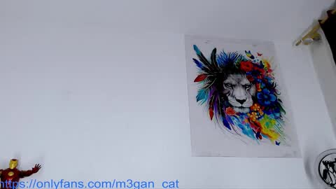 Snapshot of megan_cat chatting on November 2025 10:59:01 AM megan_cat online show from November 2025 10:59:01 AM