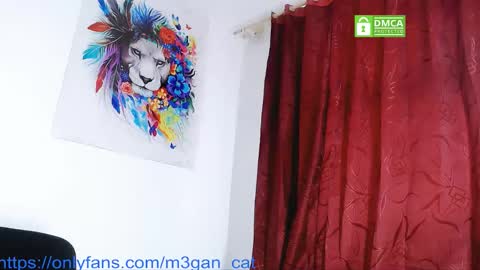 Snapshot of megan_cat chatting on December 2025 12:14:02 PM megan_cat online show from December 2025 12:14:02 PM