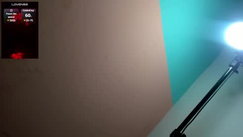 megan online show from December 2024 09:04:02 PM