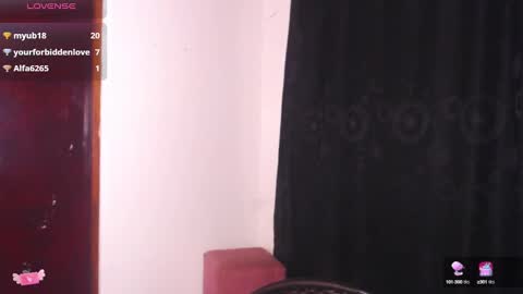 Snapshot of meganadriels96 chatting on December 2024 12:09:01 AM M E G A N online show from December 2024 12:09:01 AM