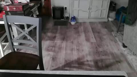 Snapshot of meganfitzy chatting on February 2025 12:27:02 AM GlamTransGoddess online show from February 2025 12:27:02 AM