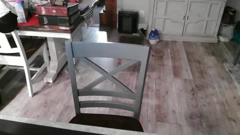 Snapshot of meganfitzy chatting on March 2025 12:15:01 AM GlamTransGoddess online show from March 2025 12:15:01 AM