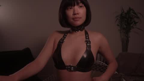  for more 3 online show from October 2025 02:17:02 AM