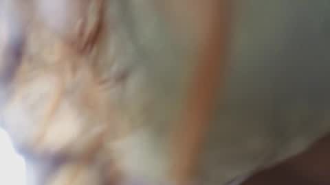 Megan online show from February 2026 11:17:01 AM