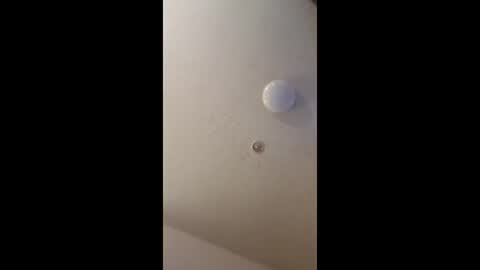 mel_hart_jr online show from May 2026 07:09:02 PM