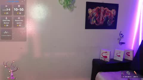 Snapshot of mel_raise chatting on February 2025 06:51:01 PM mel raise online show from February 2025 06:51:01 PM