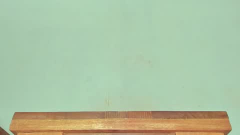 Snapshot of melania_browis chatting on March 2025 06:24:02 AM Melania online show from March 2025 06:24:02 AM