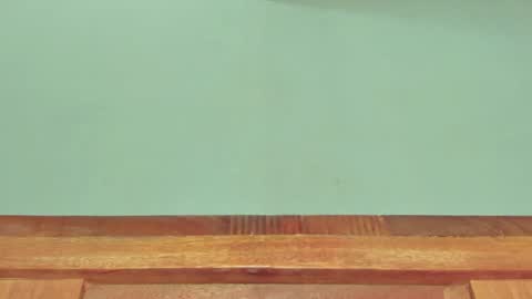 Snapshot of melania_browis chatting on March 2025 12:34:01 PM Melania online show from March 2025 12:34:01 PM