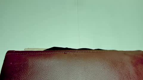 Snapshot of melania_browis chatting on November 2025 03:51:01 AM Melania online show from November 2025 03:51:01 AM