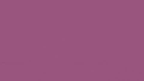 Melanie online show from February 2025 12:06:02 PM