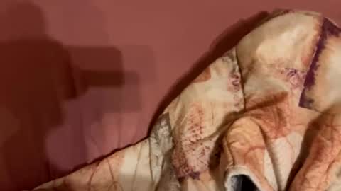 melissa9040 online show from February 2026 11:20:01 PM