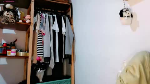  Carol - Dany  online show from February 2026 06:19:01 PM