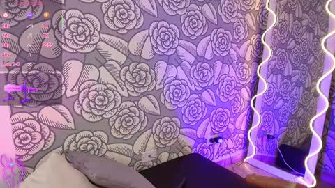 Snapshot of mellani_tay chatting on January 2025 06:41:02 AM Mellani  online show from January 2025 06:41:02 AM