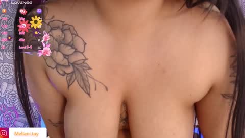 Snapshot of mellani_tay chatting on February 2025 09:30:01 AM Mellani  online show from February 2025 09:30:01 AM