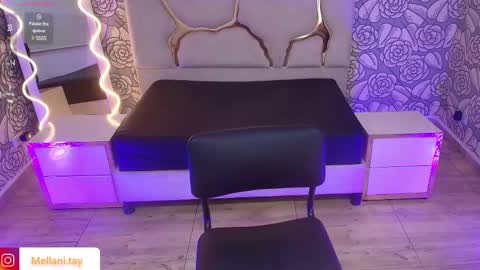 Snapshot of mellani_tay chatting on March 2025 03:12:02 AM Mellani  online show from March 2025 03:12:02 AM