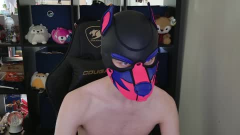 Snapshot of mellpup chatting on April 2026 06:03:02 PM MellPUP online show from April 2026 06:03:02 PM
